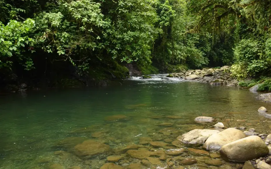 Fotografías: Ruth Garita.