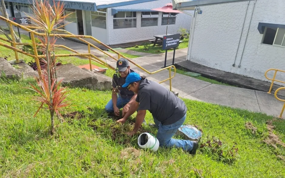 Fotografía de la actividad