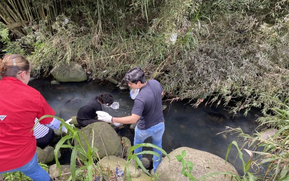 Fotografía de la actividad