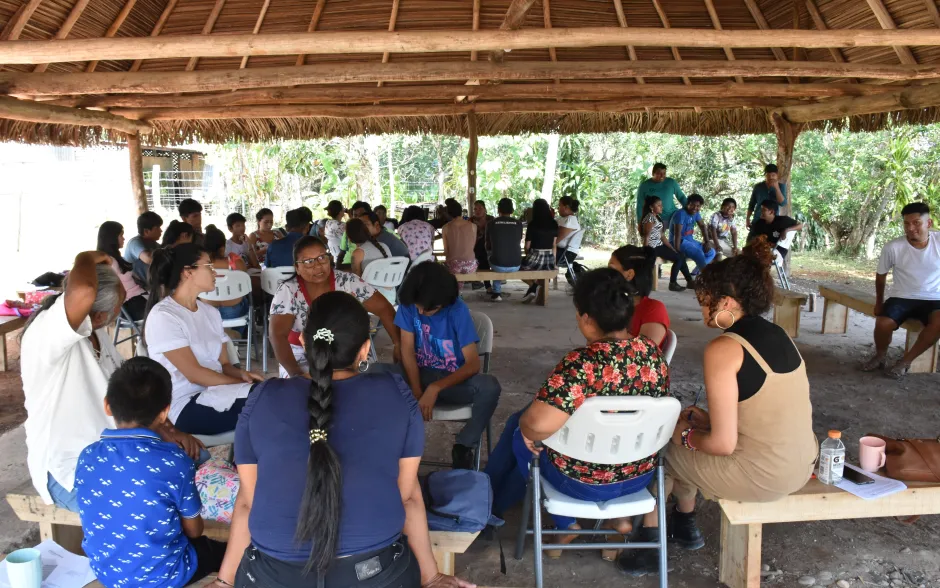 Imagen Congreso Pueblos Originarios