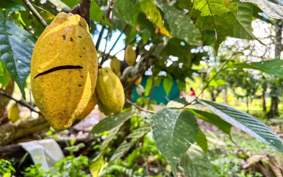 Fotografía del evento