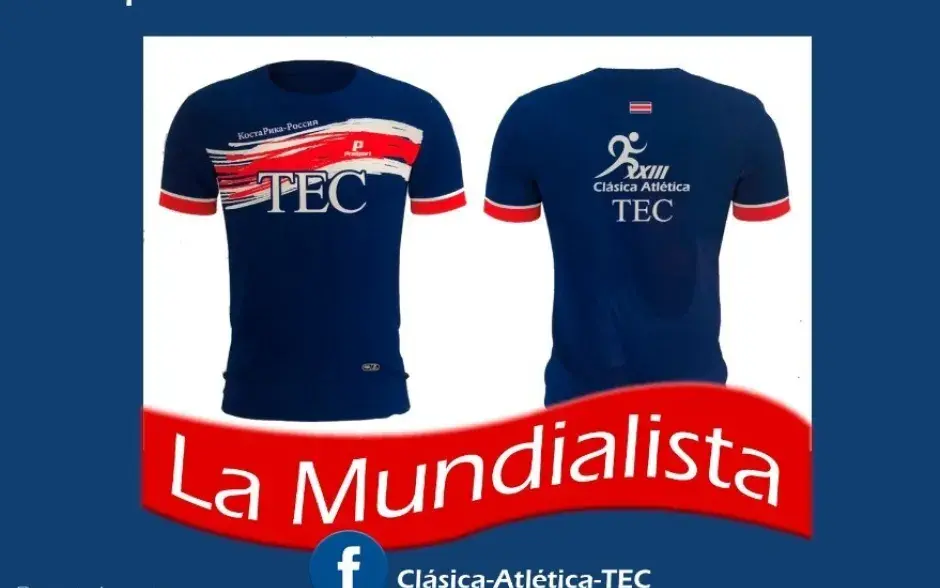 Camiseta