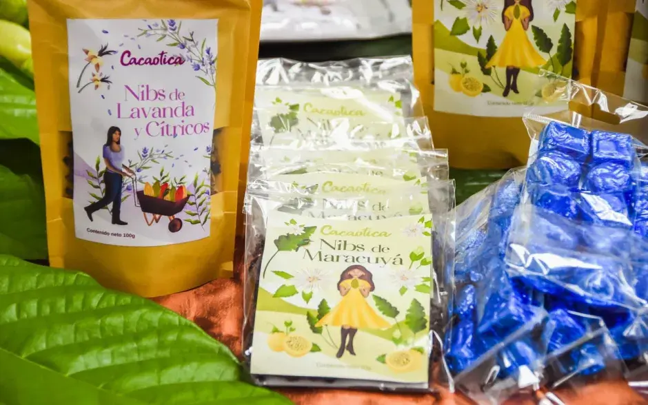 Competitividad del sector cacao mejora con la economía circular