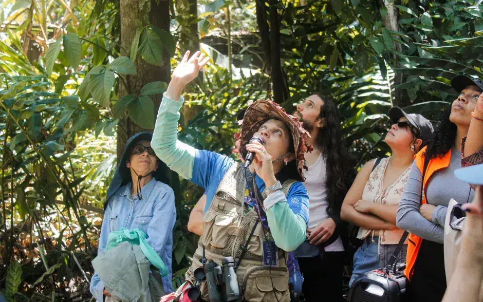 Apertura del Simón Bolívar