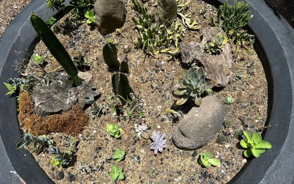 Fotografía del evento