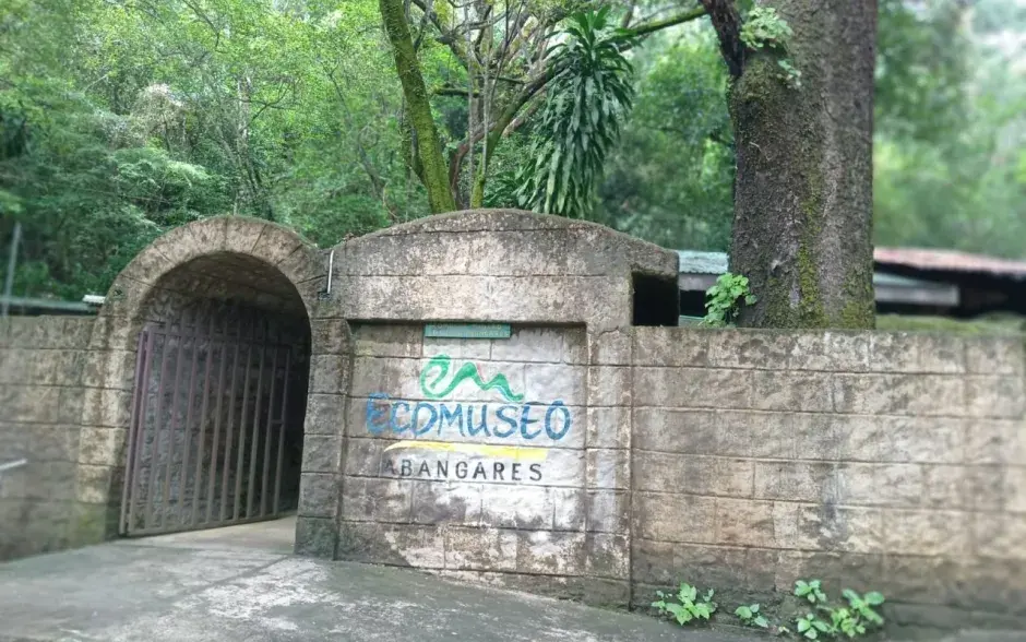 Fotografía de la actividad