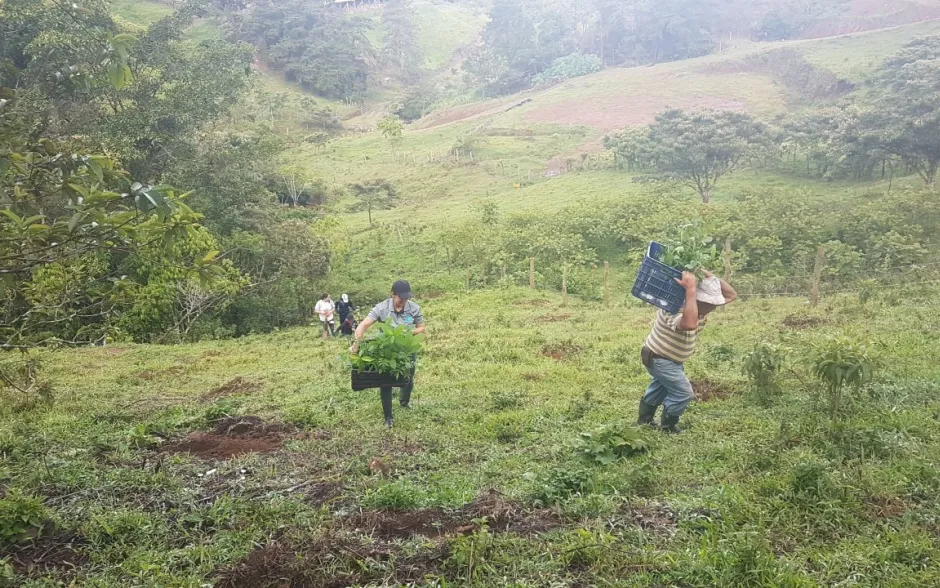 Fotografía de la actividad