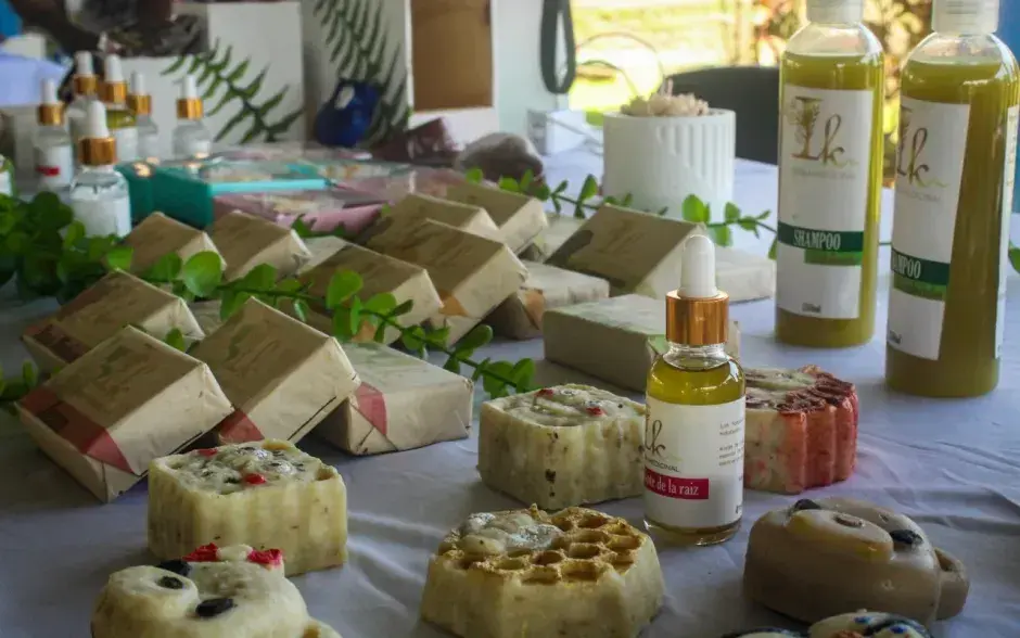 Fotografía bienvenida a primeros ingresos 2024