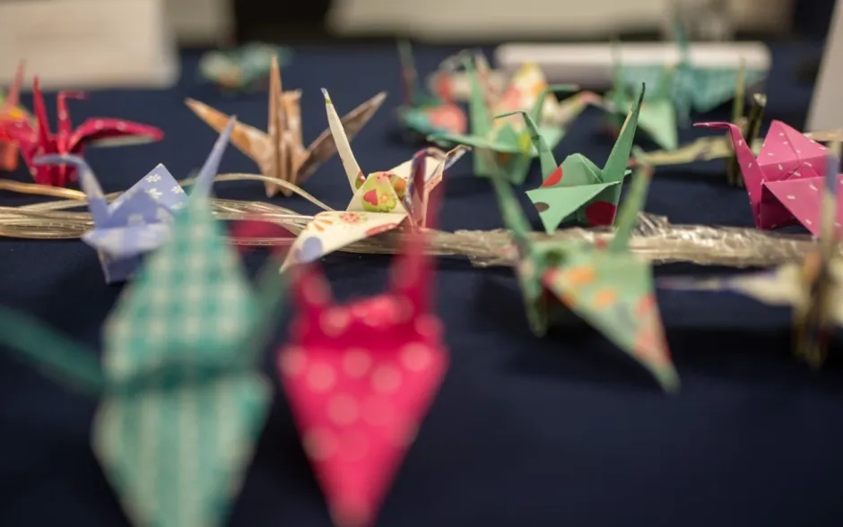 Fotografía de la actividad