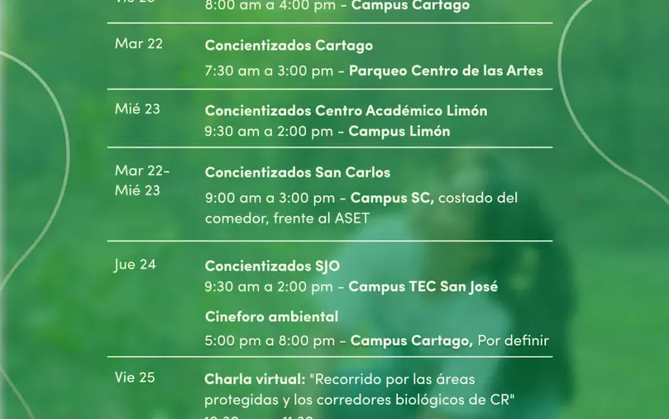 cronograma de actividades