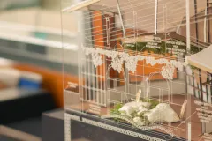 Dibujo de un proyecto. Escuela de Arquitectura y Urbanismo