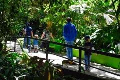 Apertura del Simón Bolívar