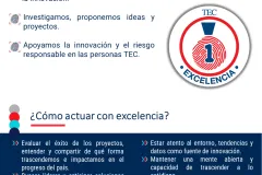 cápsula 17
