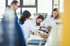 Laboratorio de suelos