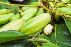 Competitividad del sector cacao mejora con la economía circular