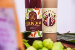 Competitividad del sector cacao mejora con la economía circular