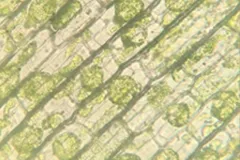 Foto5