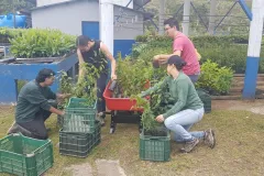 Fotografía de la actividad