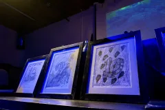 El Premio Magón 2025, Otto Apuy Sirias, llamó a no limitar la formación a un solo campo, sino a integrar distintos lenguajes y perspectivas.