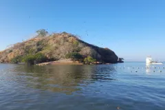 golfo en el que se cultivan mejillones