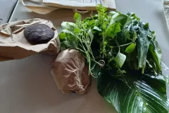 emprendimiento de plantas