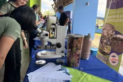 Del aula a la práctica