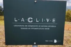 Fotografía 2
