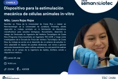 Foto4