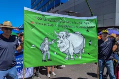 Fotografía de la marcha