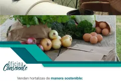 imagen informativa