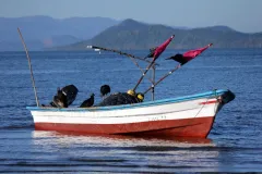 bote