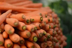 zanahorias