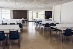 Fotografía
