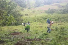Fotografía de la actividad