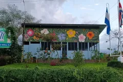 Fotografía