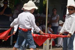 Foto5