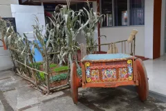 Foto7