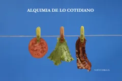 Alquimia de lo cotidiano