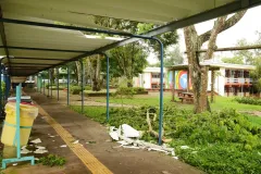 Foto5