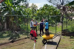voluntariado-limon2_copia