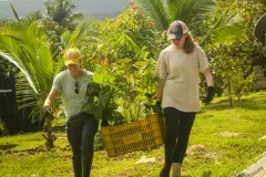 Voluntarios trabajando en el campo