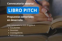 Imagen con información del libro pitch