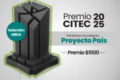 Afiche del evento. Contiene la misma información del texto