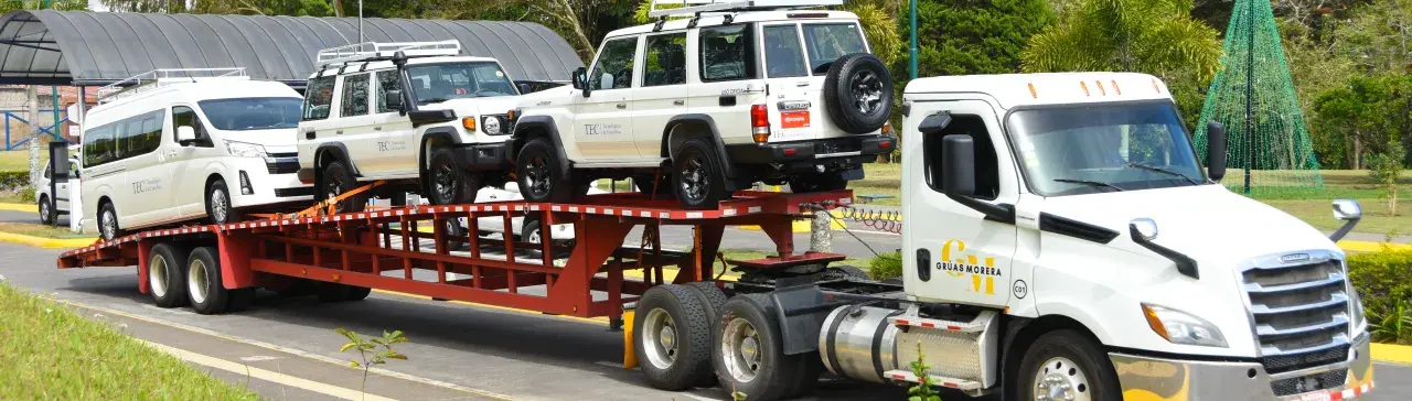 Matemáticas amigables: TEC lanza libros interactivos para primaria