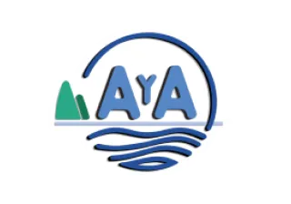 Logo del AYA