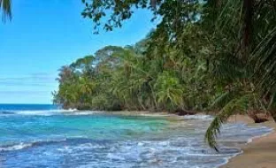 playa de limón