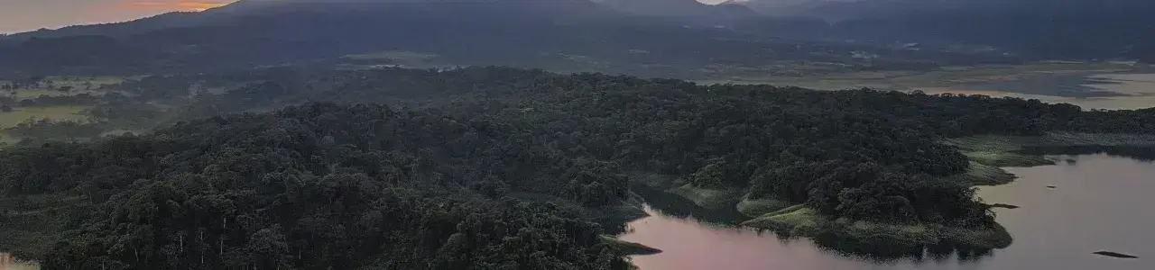 Arenal TEC