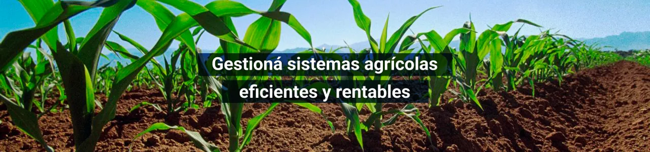 Gestioná sistemas agrícolas eficientes y rentables