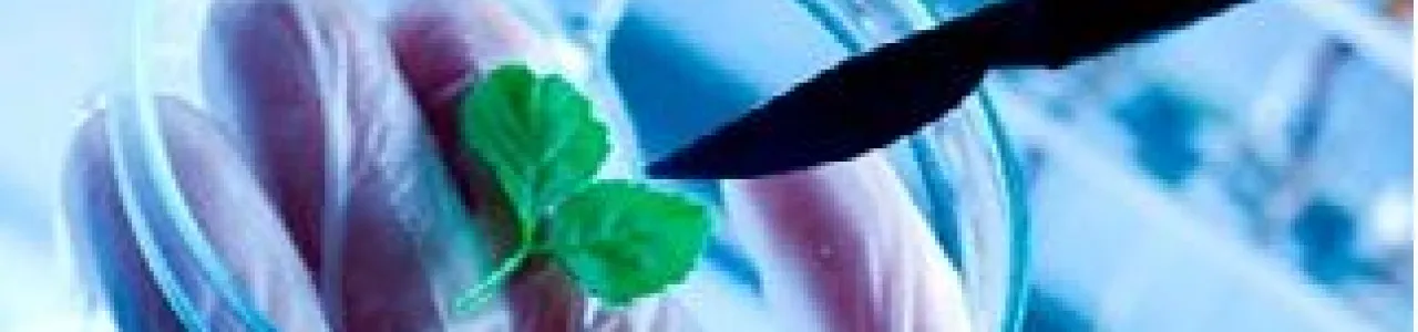 Factores que inciden en los procesos de transferencia de resultados de investigación: la biotecnología en Costa Rica