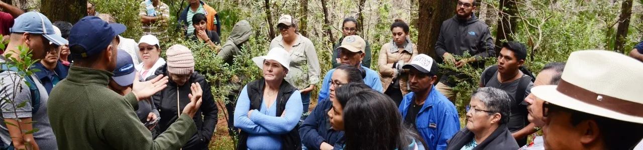 investigadores